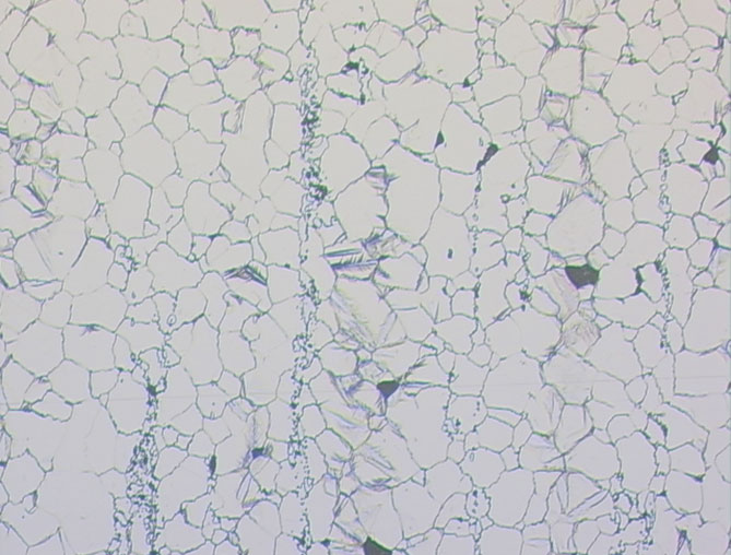 glycans in cell interaction and recognition therapeutic aspects 2002