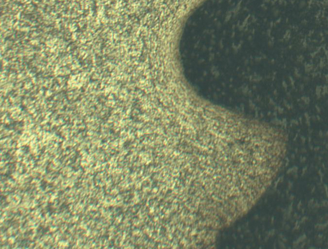 view an atlas of mammalian chromosomes volume 1