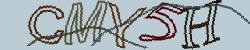 Retype the CAPTCHA code from the image